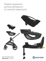 UT000078120_22